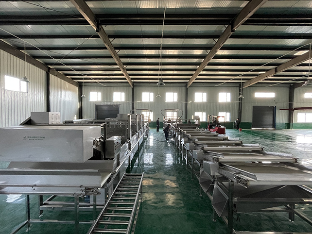 厚博農(nóng)業(yè)某總?cè)债a(chǎn)200噸全自動豆芽菜設(shè)備